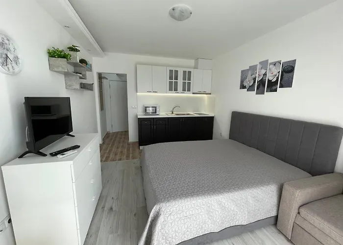 студио симона 4 - първа линия море דירה לוזנטס